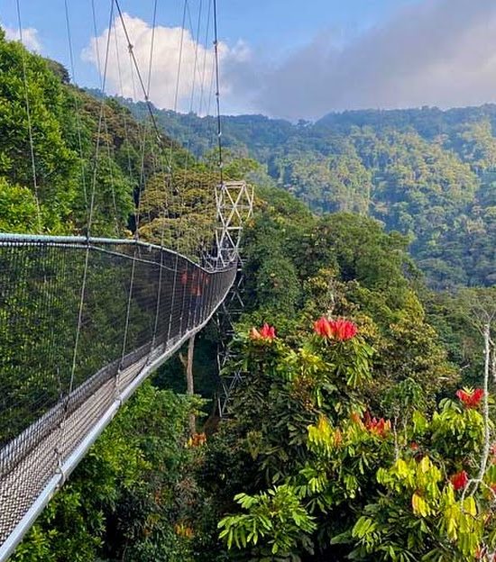 Nyungwe National Park
