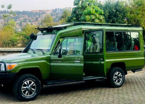 Tourist Car Rental