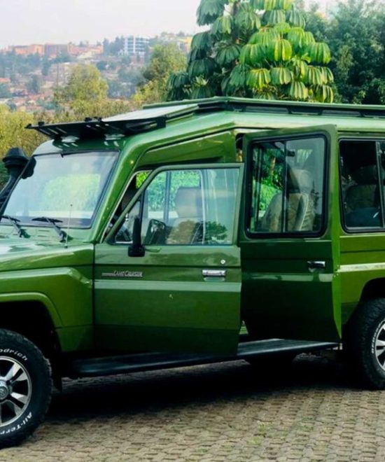 Tourist Car Rental